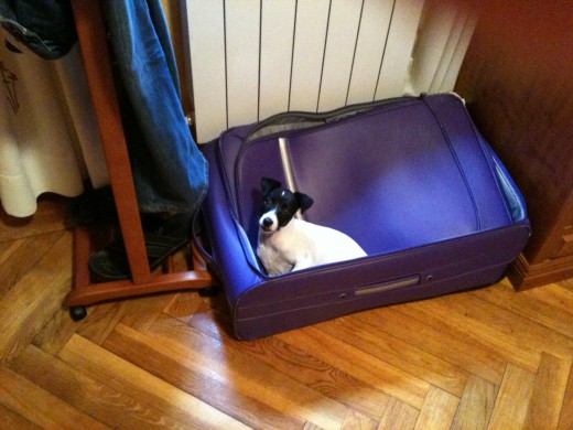 Mmm.... he descubierto la maleta de viaje de mamá....